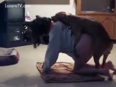 Hot booty brunette hair receives a dog in her
